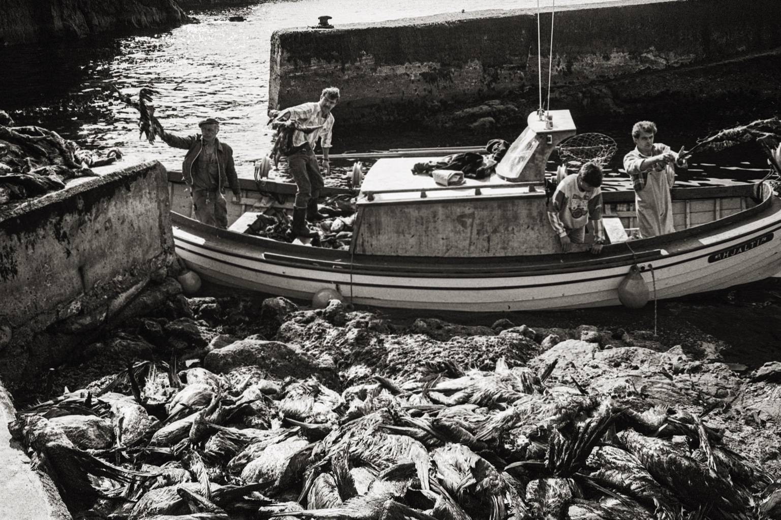 Mykines-sw_4-60_compressed